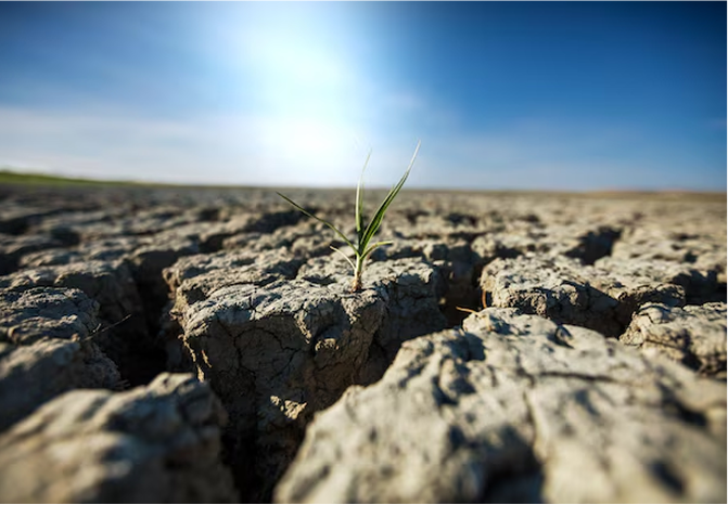 Arid Landscape with Sun